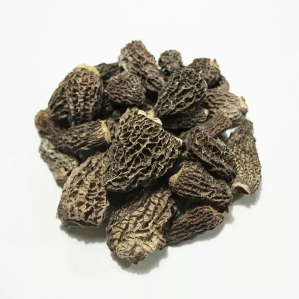 Morilles du Canada