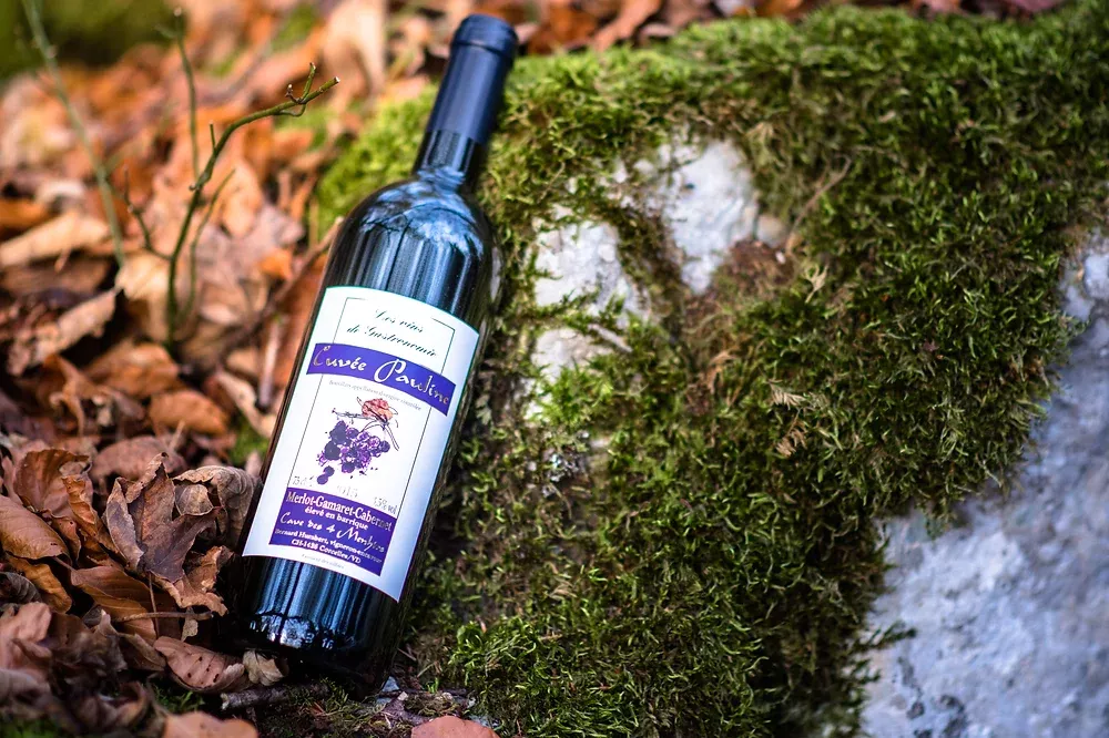 Cuvée Pauline 7 dl. - Domaine des 4 Menhirs