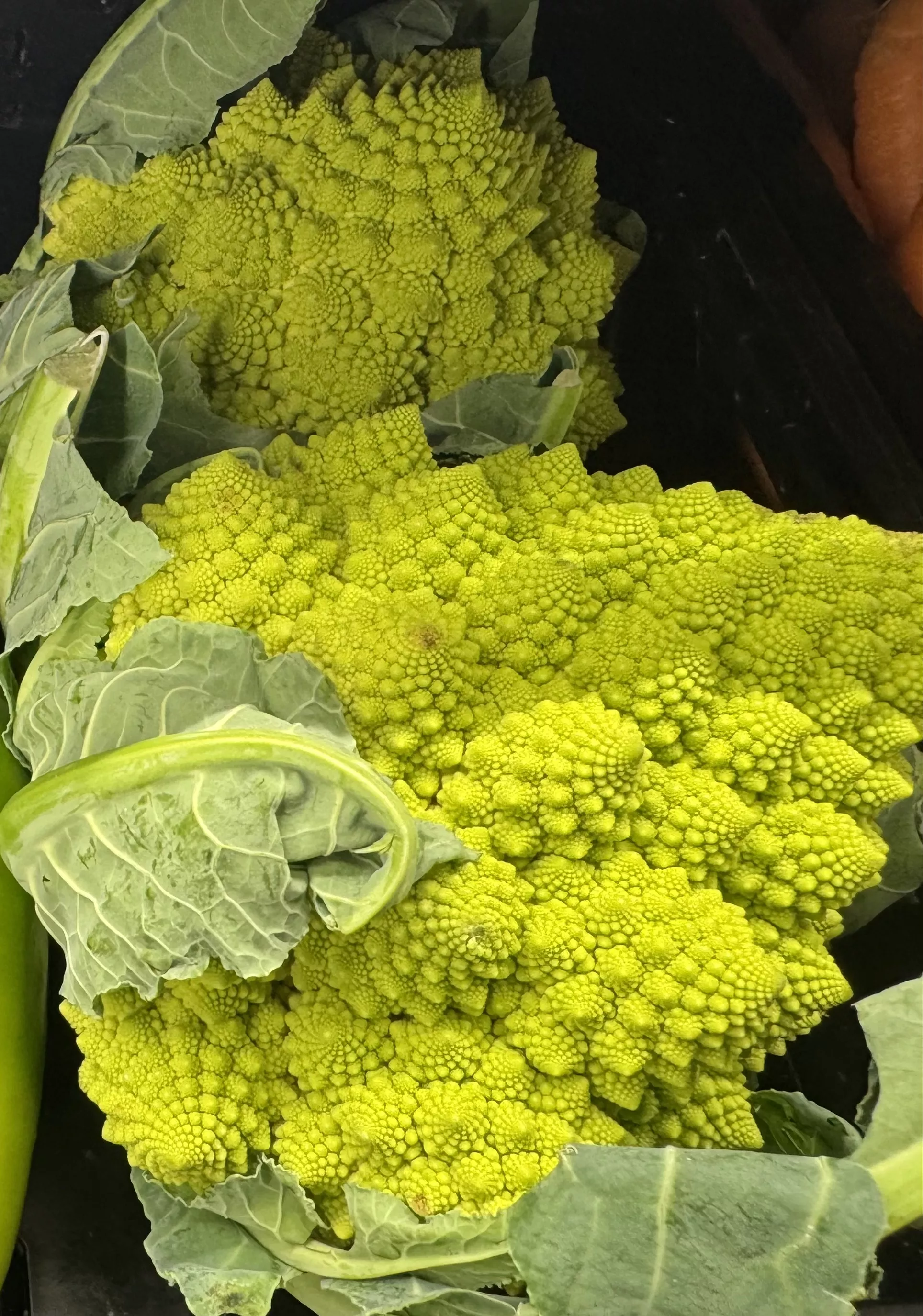 Romanesco