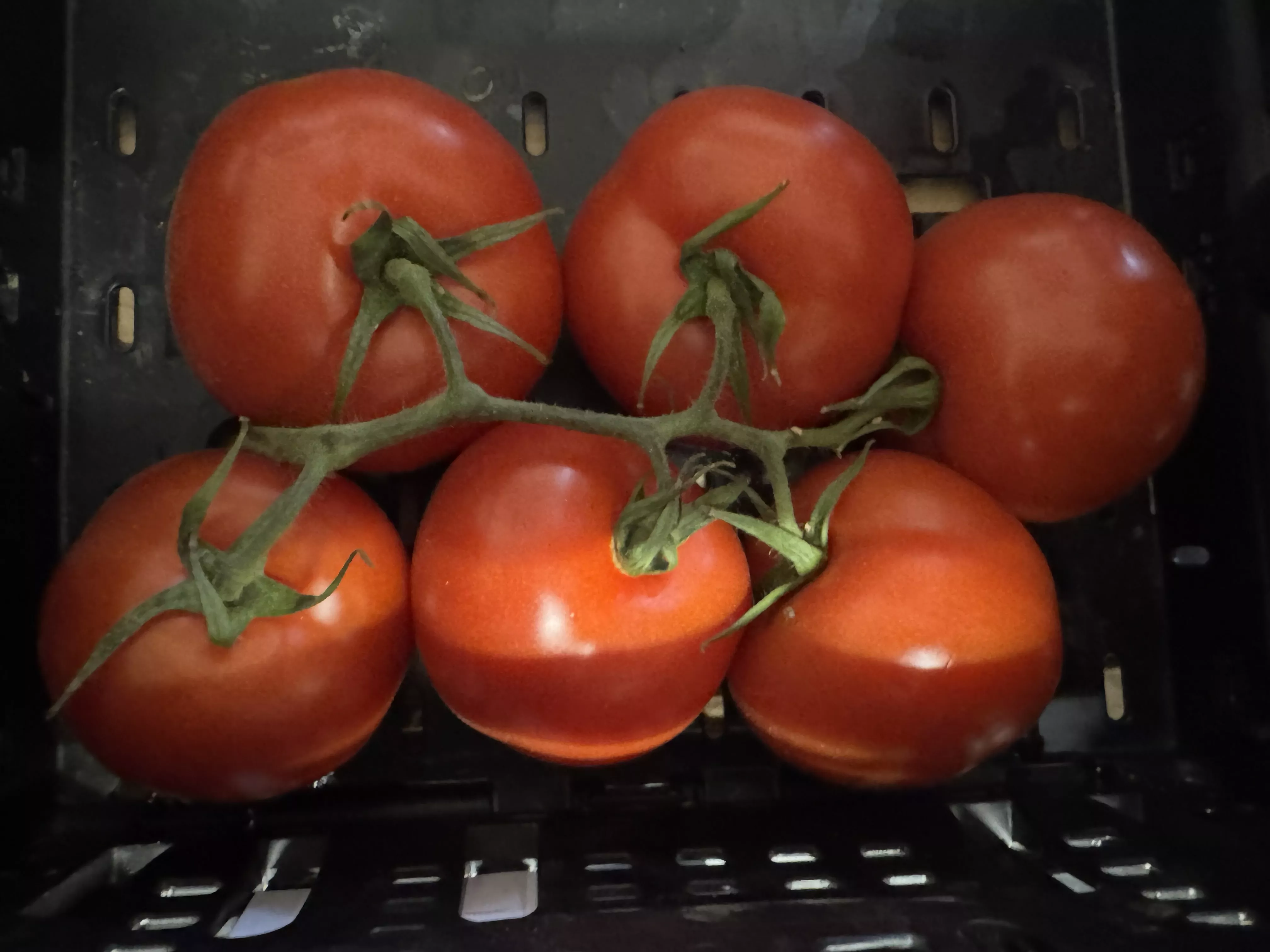 Tomates Grappe